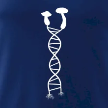 DNA huby