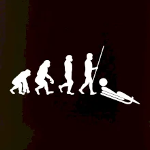 Evolúcia jazdy na bôbu