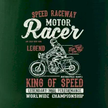 Motor Racer