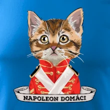 Napoleon domáci mačka Napoleon domáci mačka