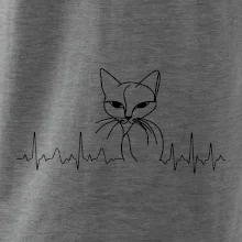 EKG krivka mačka