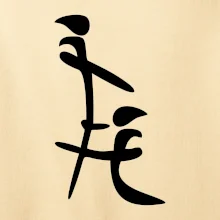 Čínský znak Čínský znak