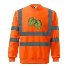 Monstera - dva listy Monstera - dva listy