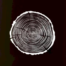 Letokruhy 35 bez veku