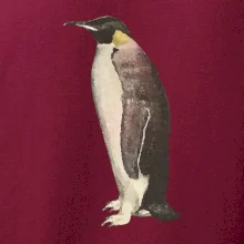 Tučniak kreslený vodovými farbami