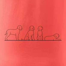 Lagotto romagnolo postavy linka