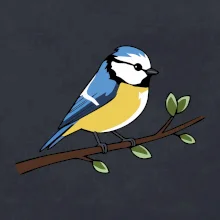 Sýkorka modrinka na vetve