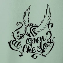 Harry - Zlatá strela