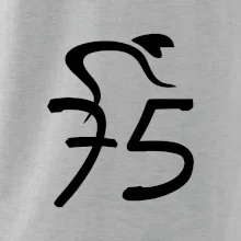 Cyklista oslavuje sedemdesiatpäťpäťky (75)