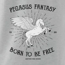 Pegasus fantasy Pegasus fantasy