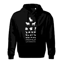 Očný test zvieratká Očný test zvieratká