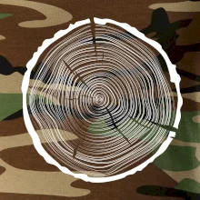 Letokruhy 50 bez veku