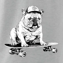 Čiernobiely buldog na skateboarde