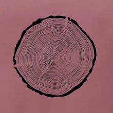 Letokruhy 55 bez veku