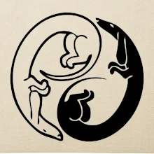 Jazvečíky - Jin jang