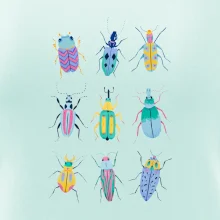 Farebné chrobáky (studio-arte.cz)