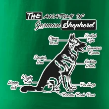 Nemecký ovčiak - Anatómia Nemecký ovčiak - Anatómia