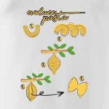 Evoluce pasta