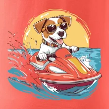 Jack russell teriér na vodnom skútri