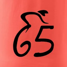 Cyklista oslavuje šesťdesiatpäťku (65)