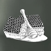 Plást s medom Plást s medom