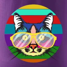 Mačka pri farebnom západe