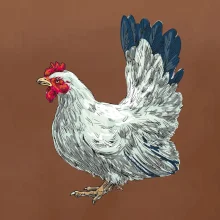 Sliepka kreslená biela