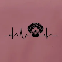 Lagotto romagnolo hlava EKG