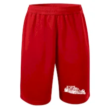 Formula v závode Formula v závode