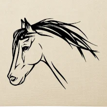 Kôň - hlava celá