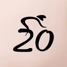 Cyklista oslavuje dvadsiatku (20)