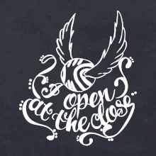 Harry - Zlatá strela