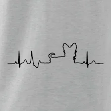 Yorkshirský teriér EKG Yorkshirský teriér EKG