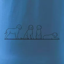 Lagotto romagnolo postavy linka