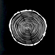 Letokruhy 30 bez veku