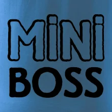 Big boss mini boss