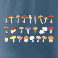 Huby farebné Huby farebné