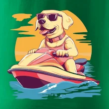 Zlatý retriever na vodnom skútri