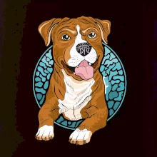 Americký staford kreslený v koliesku (Pecka design)