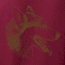 Husky - hlava z boku
