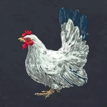 Sliepka kreslená biela Sliepka kreslená biela