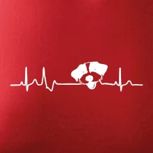 Jack Russell Teriér hrubosrstý Ekg