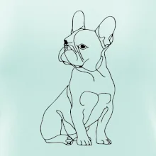 Francúzsky buldoček čierna kresba