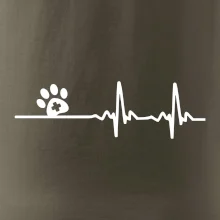 Veterinár EKG