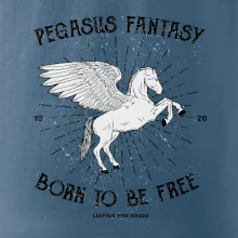 Pegasus fantasy
