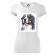 Bernský salašnícky pes -  hlava vodová farba