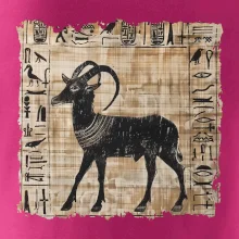 Egyptské hieroglyfy koza