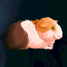 Morča - kreslené z boku