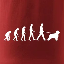 Evolúcia pes Briard