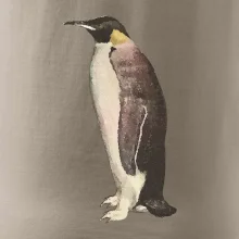 Tučniak kreslený vodovými farbami